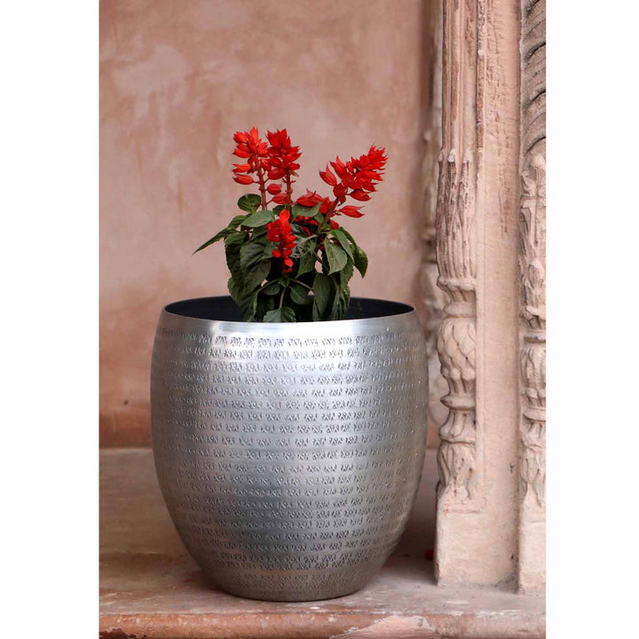 Orientalisk blomkruka Castellon