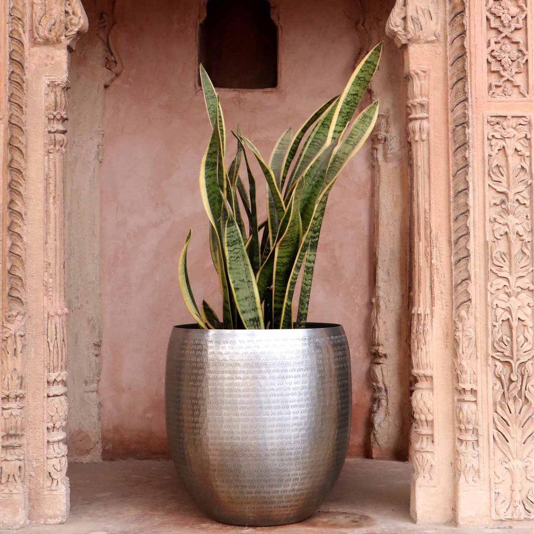 Orientalisk blomkruka Castellon
