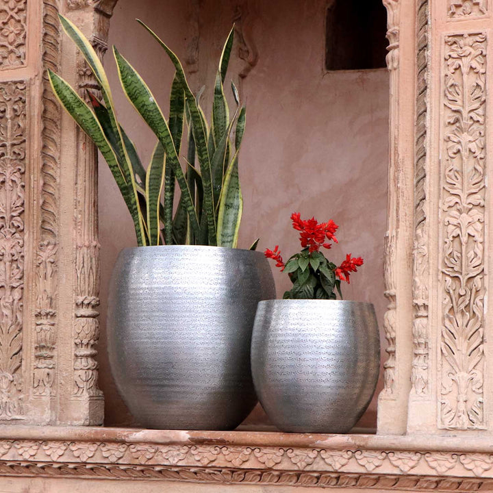 Orientalisk blomkruka Toledo