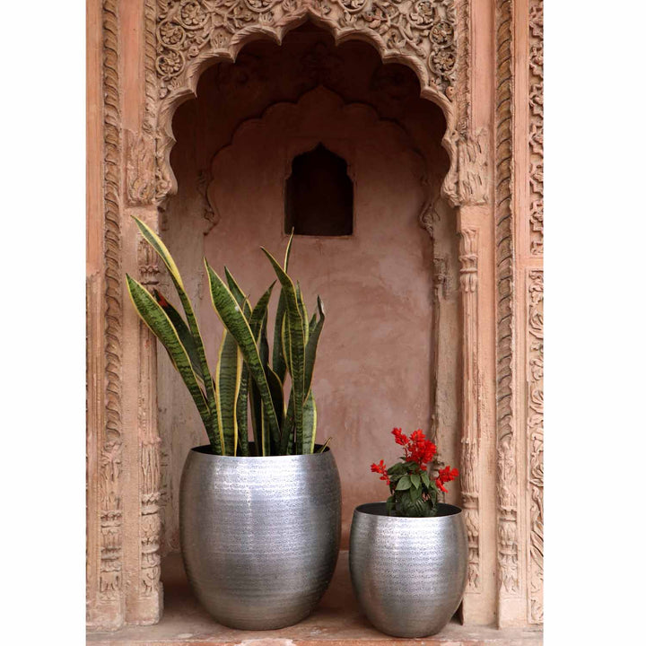 Orientalisk blomkruka Toledo