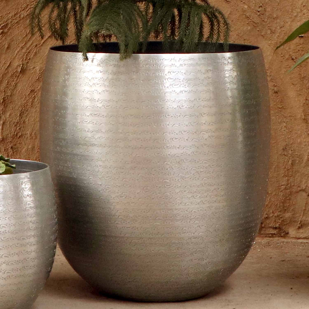 Orientalisk blomkruka Toledo