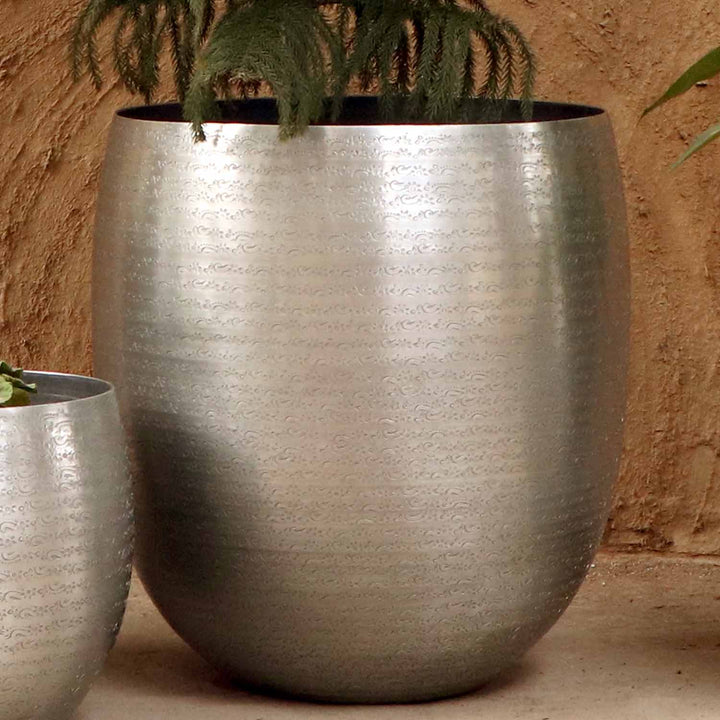 Orientalisk blomkruka Toledo